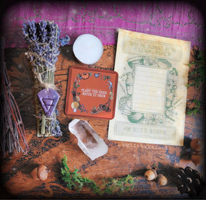 Lavender Talisman Cleansing Kit - with free ritual guide
